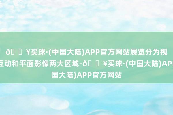 🔥买球·(中国大陆)APP官方网站展览分为视频多媒体互动和平面影像两大区域-🔥买球·(中国大陆)APP官方网站