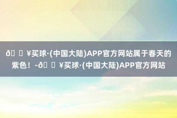 🔥买球·(中国大陆)APP官方网站属于春天的紫色！-🔥买球·(中国大陆)APP官方网站