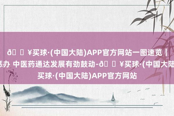 🔥买球·(中国大陆)APP官方网站一图速览｜参与群众卫生惩办 中医药通达发展有劲鼓动-🔥买球·(中国大陆)APP官方网站