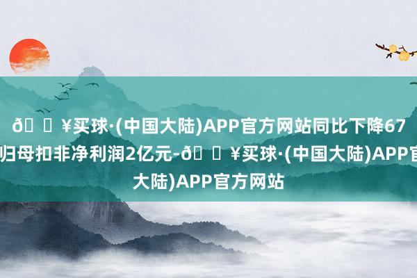 🔥买球·(中国大陆)APP官方网站同比下降67.69%；归母扣非净利润2亿元-🔥买球·(中国大陆)APP官方网站